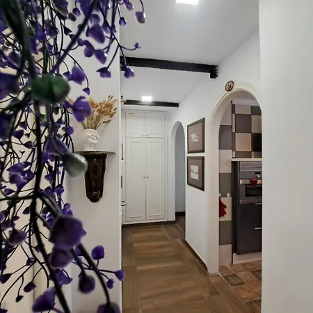 公寓 El Apartamento De Silvia, San Isidro, Tenerife 圣伊西德罗